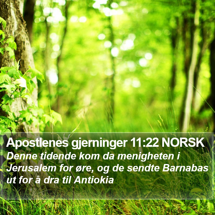 Apostlenes gjerninger 11:22 NORSK Bible Study