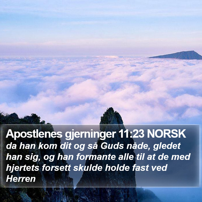 Apostlenes gjerninger 11:23 NORSK Bible Study