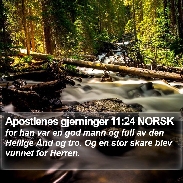 Apostlenes gjerninger 11:24 NORSK Bible Study