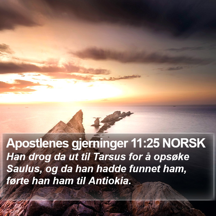 Apostlenes gjerninger 11:25 NORSK Bible Study