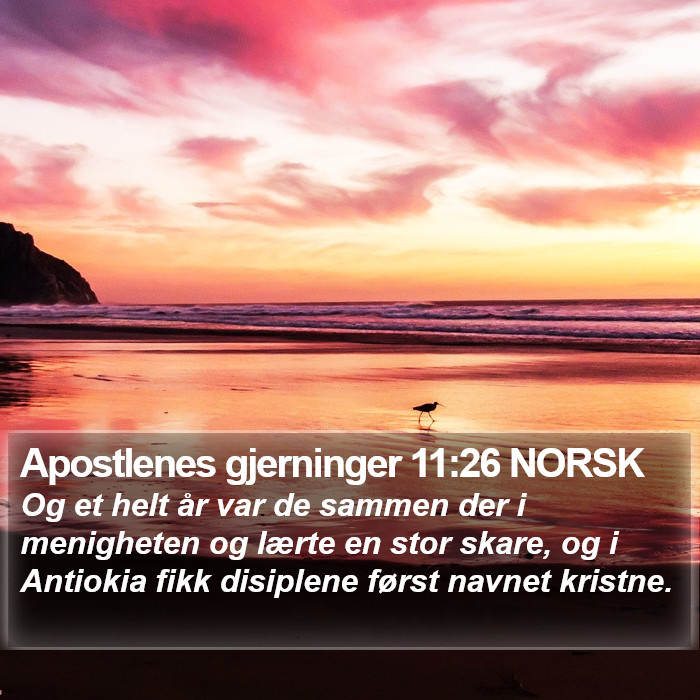 Apostlenes gjerninger 11:26 NORSK Bible Study