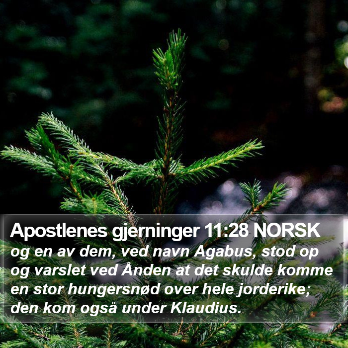 Apostlenes gjerninger 11:28 NORSK Bible Study