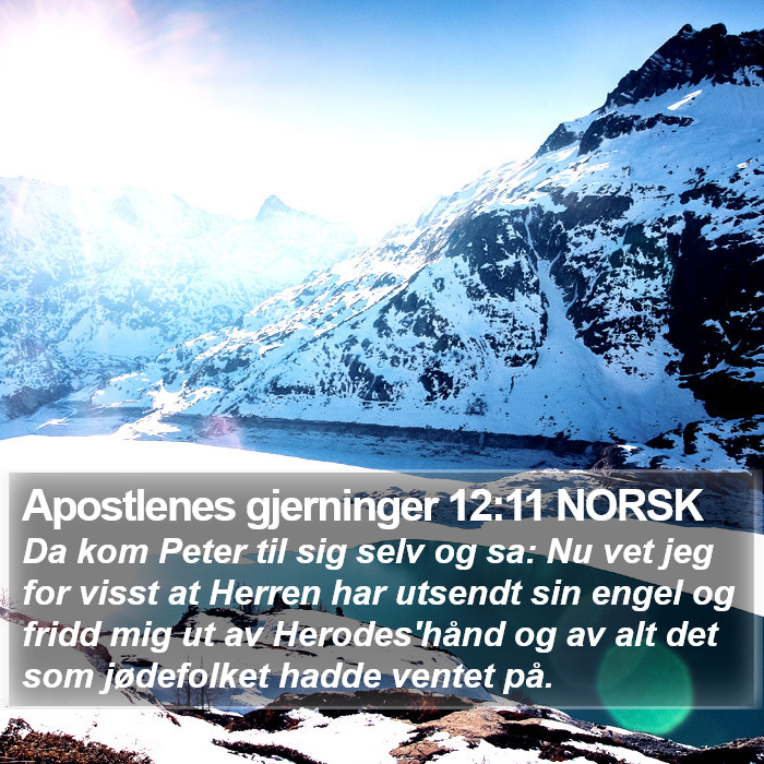 Apostlenes gjerninger 12:11 NORSK Bible Study