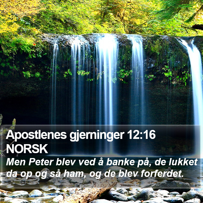Apostlenes gjerninger 12:16 NORSK Bible Study