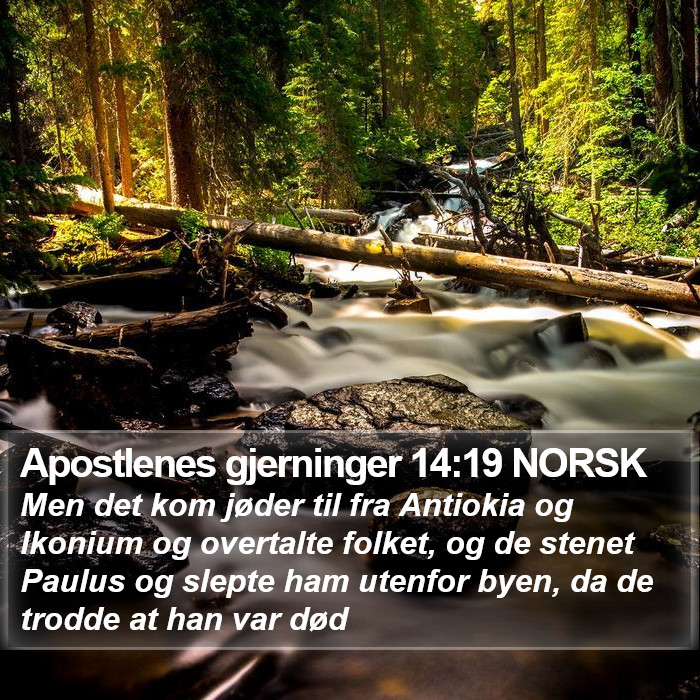 Apostlenes gjerninger 14:19 NORSK Bible Study