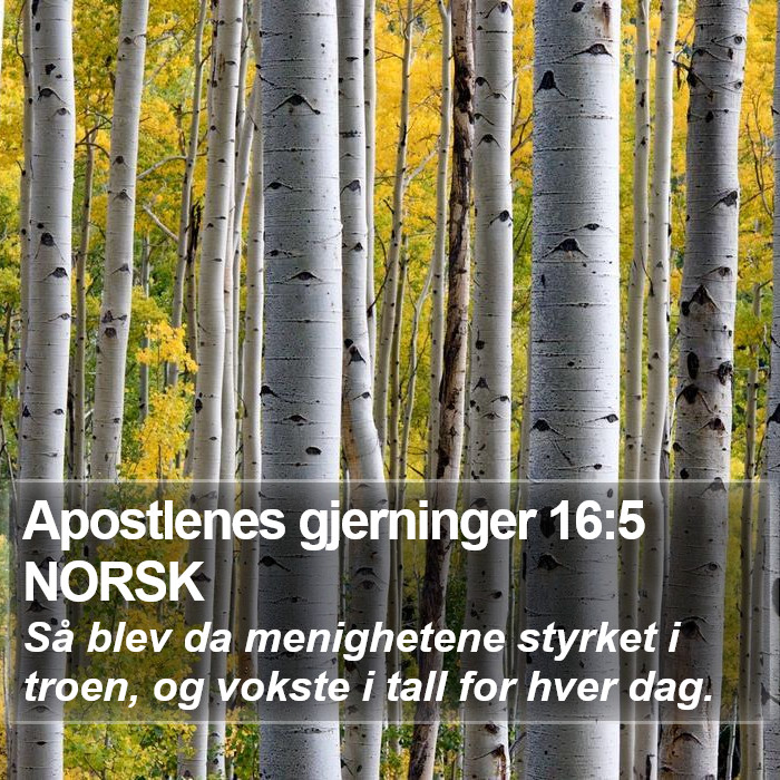 Apostlenes gjerninger 16:5 NORSK Bible Study