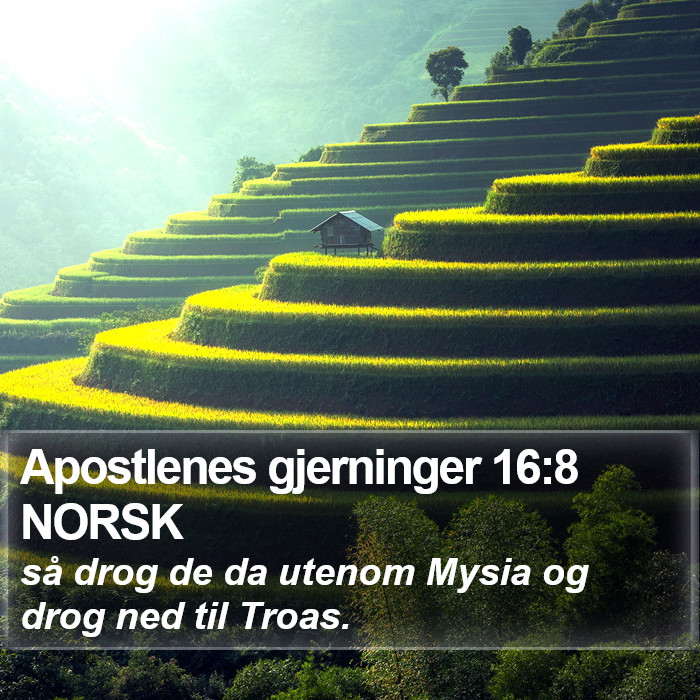 Apostlenes gjerninger 16:8 NORSK Bible Study