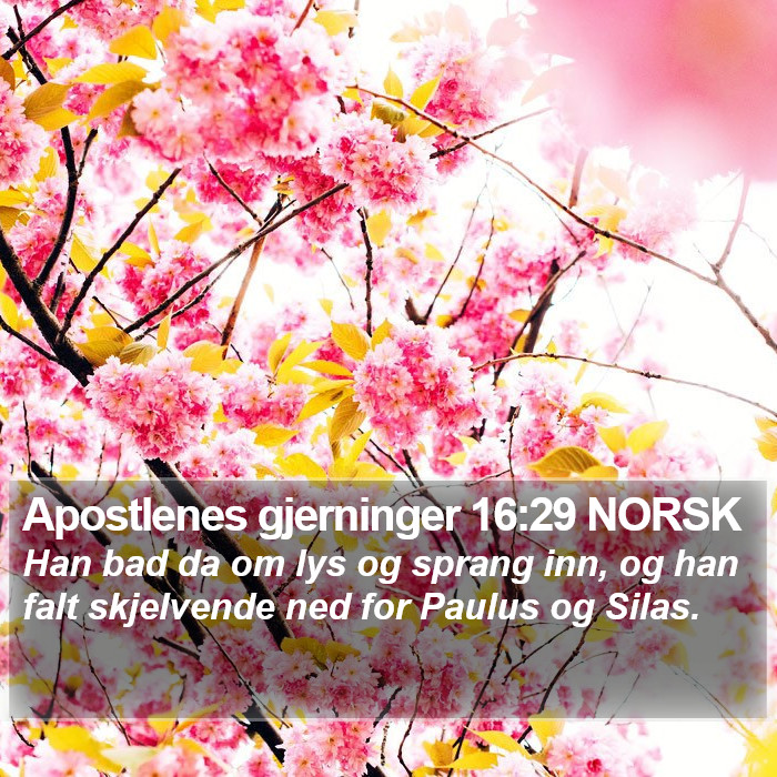 Apostlenes gjerninger 16:29 NORSK Bible Study