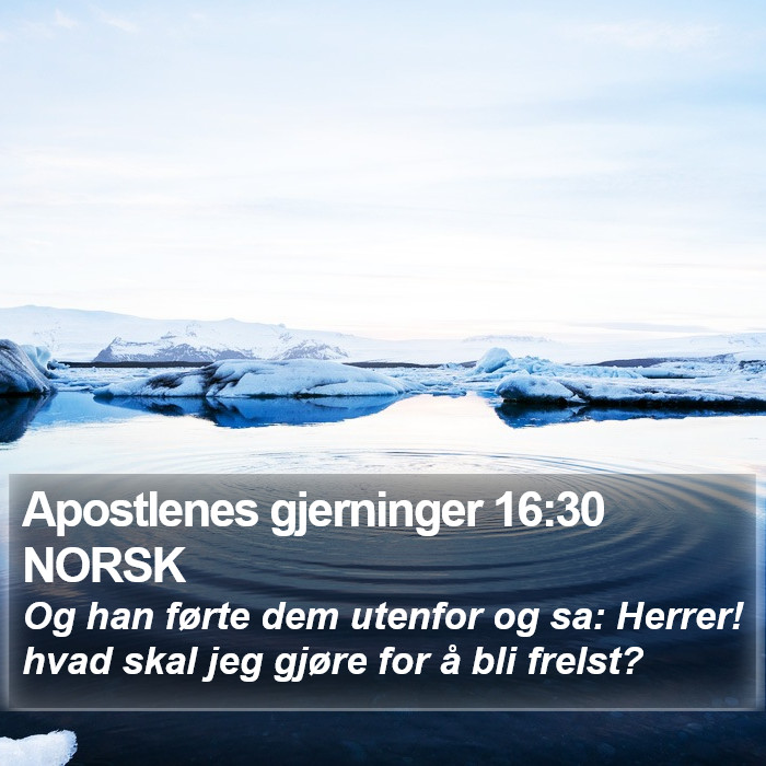 Apostlenes gjerninger 16:30 NORSK Bible Study