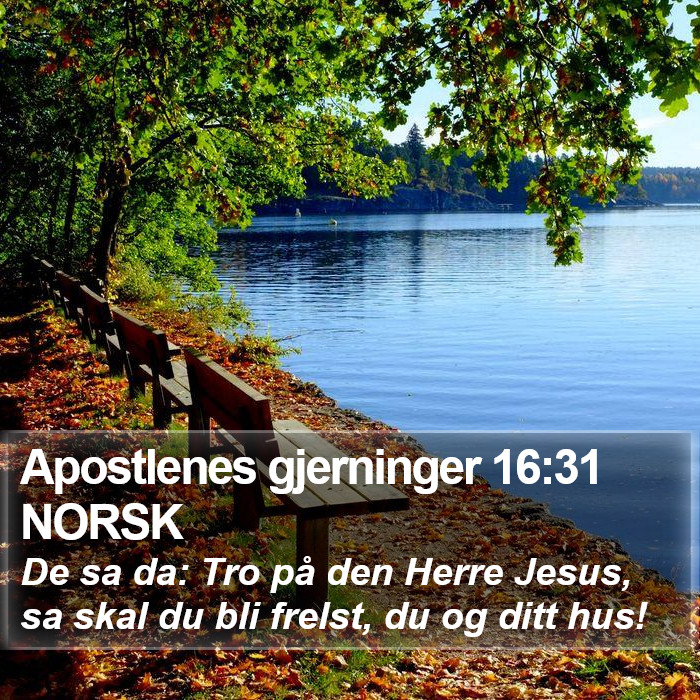 Apostlenes gjerninger 16:31 NORSK Bible Study