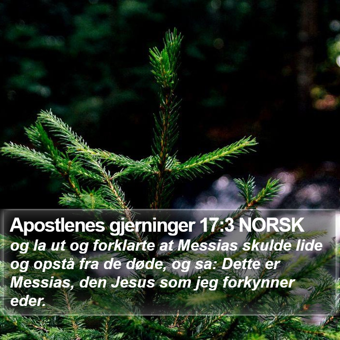 Apostlenes gjerninger 17:3 NORSK Bible Study