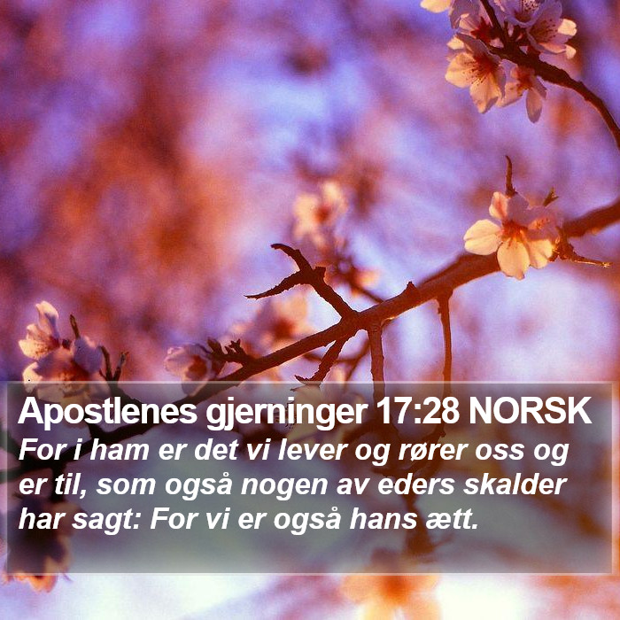 Apostlenes gjerninger 17:28 NORSK Bible Study