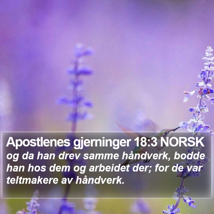 Apostlenes gjerninger 18:3 NORSK Bible Study