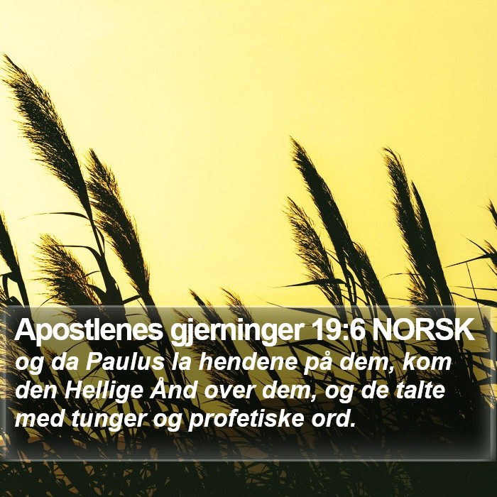 Apostlenes gjerninger 19:6 NORSK Bible Study