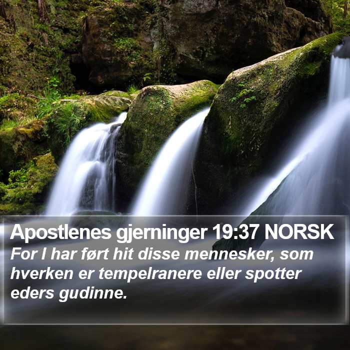 Apostlenes gjerninger 19:37 NORSK Bible Study
