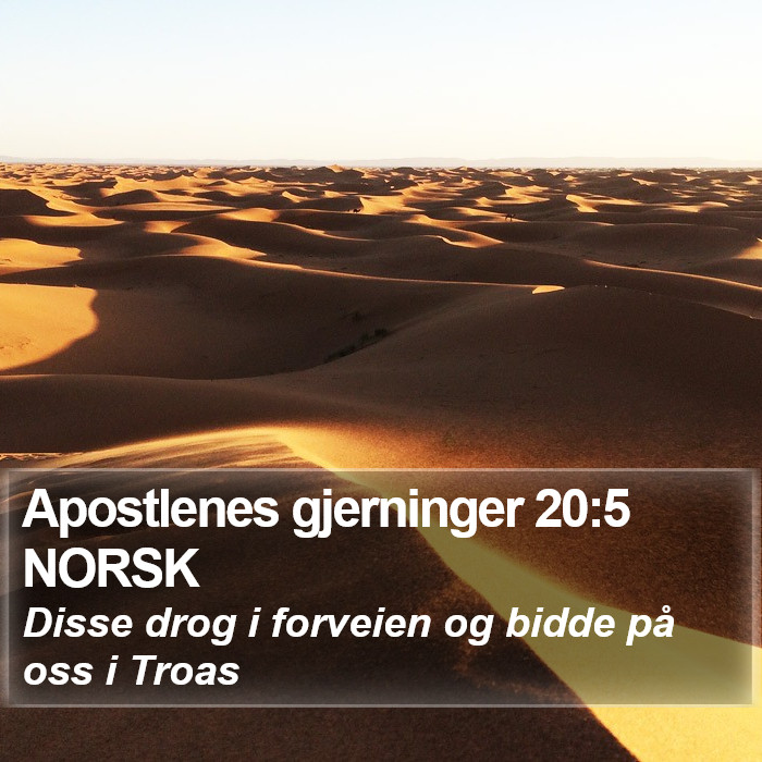 Apostlenes gjerninger 20:5 NORSK Bible Study