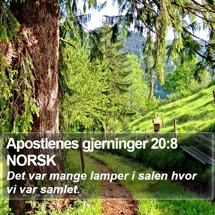 Apostlenes gjerninger 20:8 NORSK Bible Study