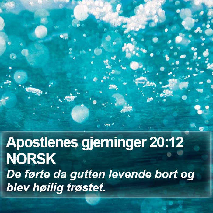 Apostlenes gjerninger 20:12 NORSK Bible Study