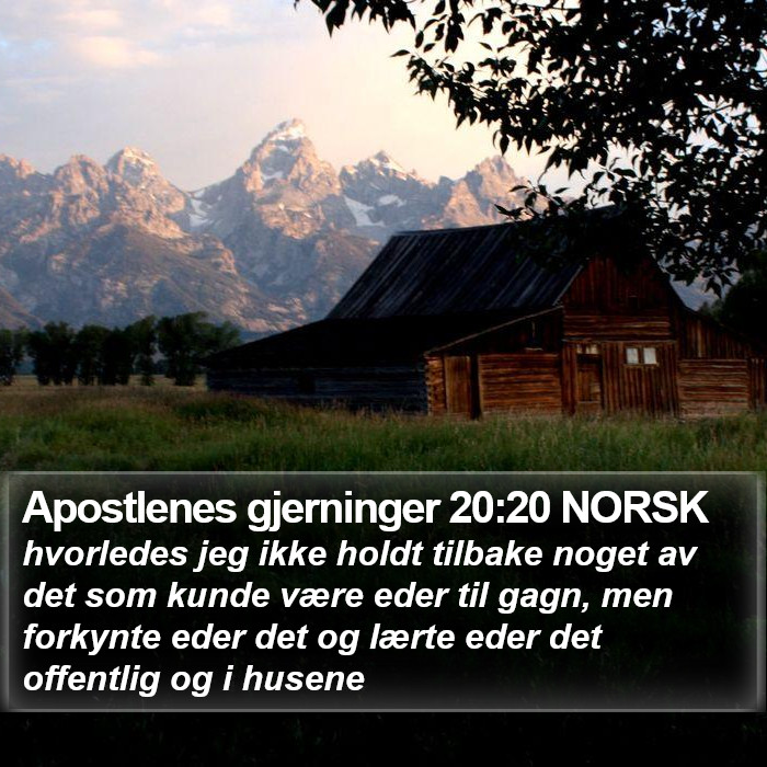 Apostlenes gjerninger 20:20 NORSK Bible Study