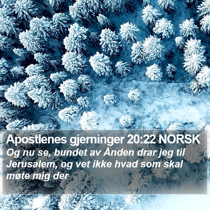Apostlenes gjerninger 20:22 NORSK Bible Study