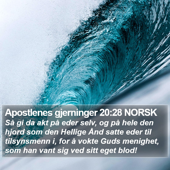 Apostlenes gjerninger 20:28 NORSK Bible Study