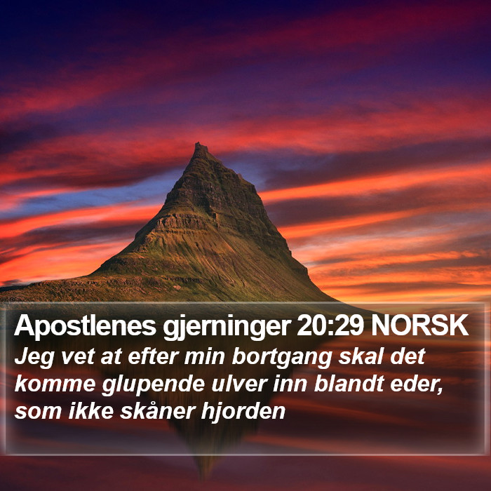 Apostlenes gjerninger 20:29 NORSK Bible Study