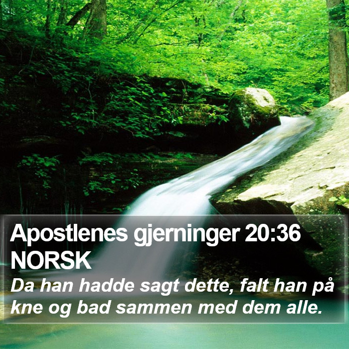 Apostlenes gjerninger 20:36 NORSK Bible Study
