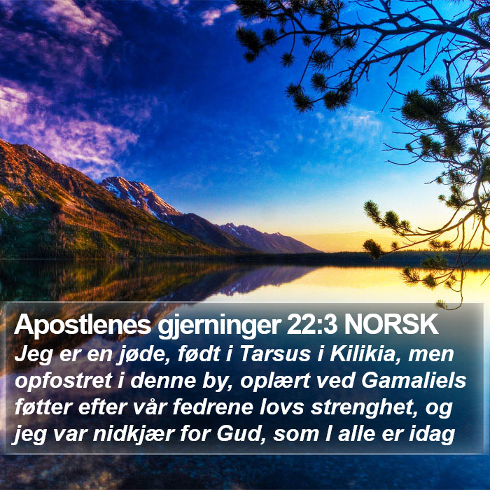 Apostlenes gjerninger 22:3 NORSK Bible Study