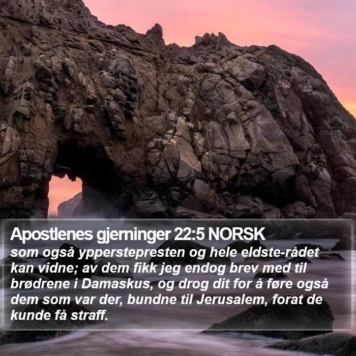 Apostlenes gjerninger 22:5 NORSK Bible Study
