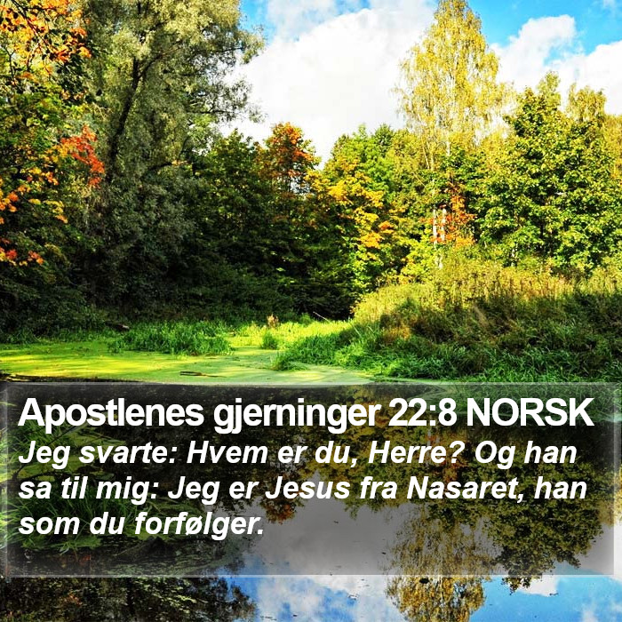 Apostlenes gjerninger 22:8 NORSK Bible Study