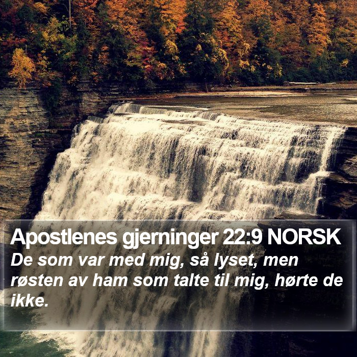 Apostlenes gjerninger 22:9 NORSK Bible Study