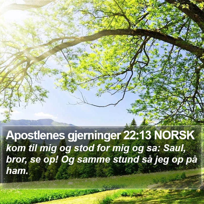Apostlenes gjerninger 22:13 NORSK Bible Study
