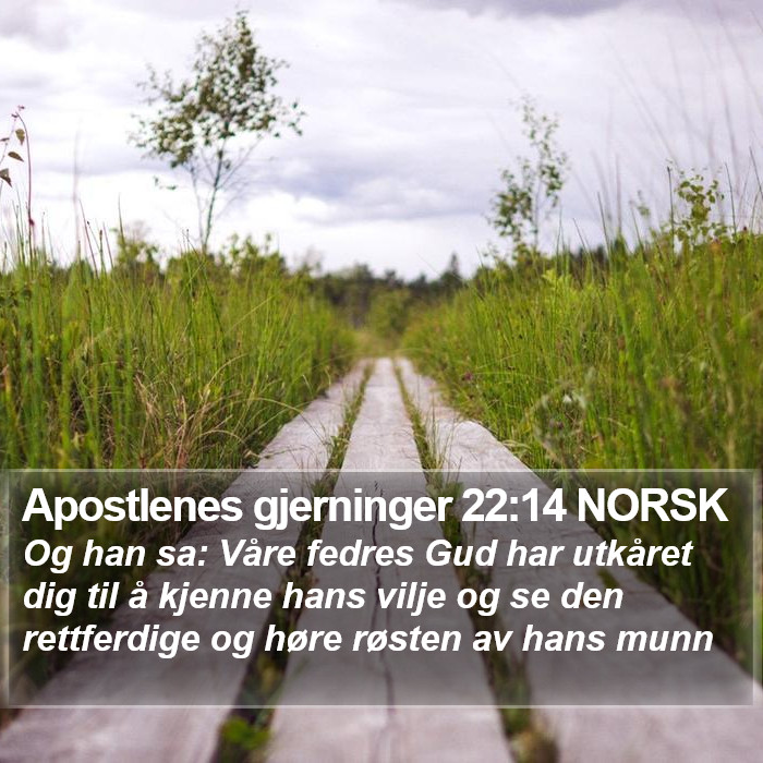 Apostlenes gjerninger 22:14 NORSK Bible Study