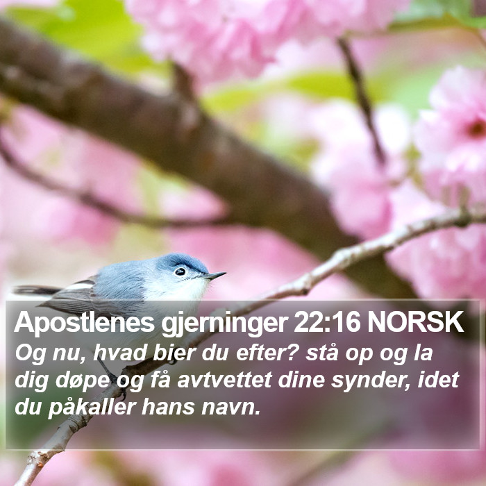 Apostlenes gjerninger 22:16 NORSK Bible Study