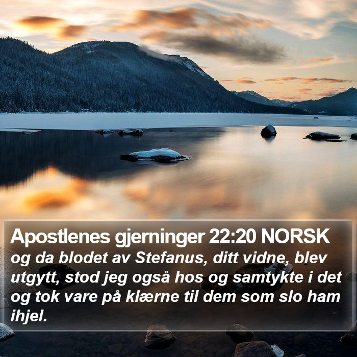 Apostlenes gjerninger 22:20 NORSK Bible Study