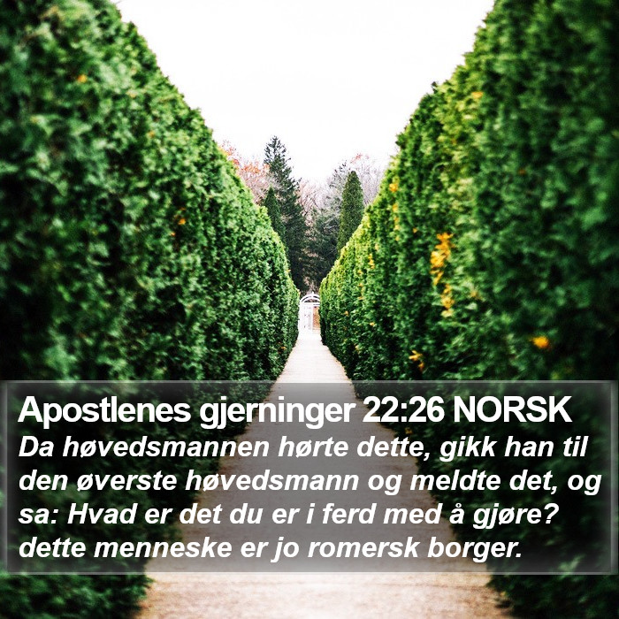 Apostlenes gjerninger 22:26 NORSK Bible Study