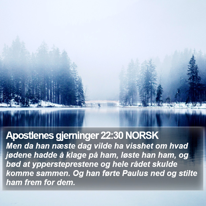 Apostlenes gjerninger 22:30 NORSK Bible Study