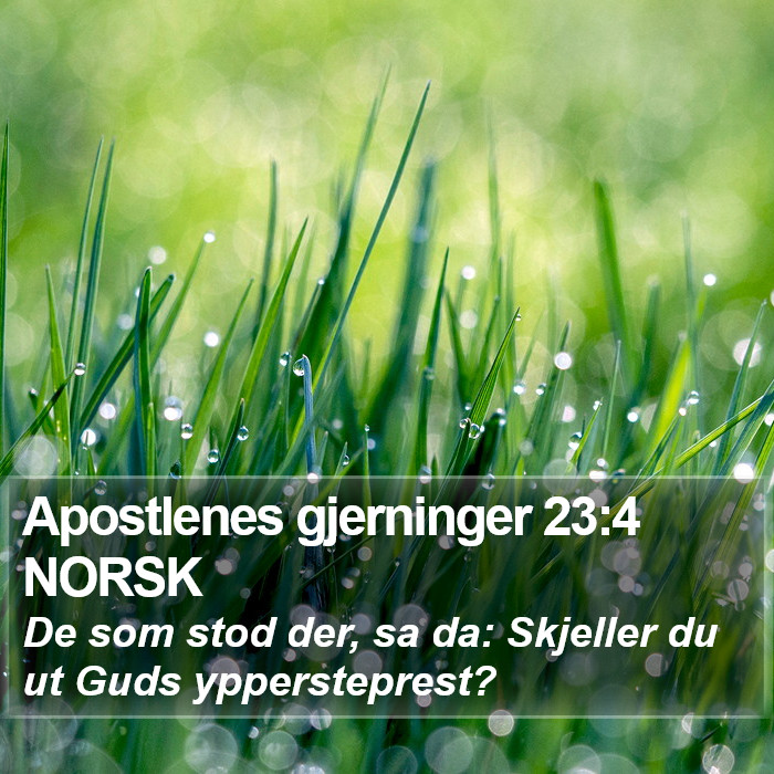 Apostlenes gjerninger 23:4 NORSK Bible Study