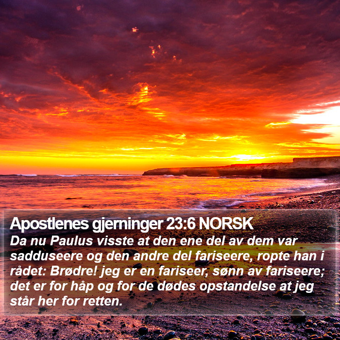 Apostlenes gjerninger 23:6 NORSK Bible Study