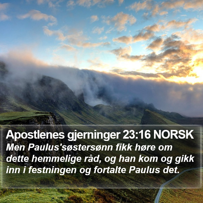 Apostlenes gjerninger 23:16 NORSK Bible Study