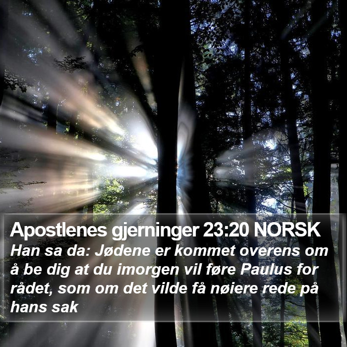 Apostlenes gjerninger 23:20 NORSK Bible Study