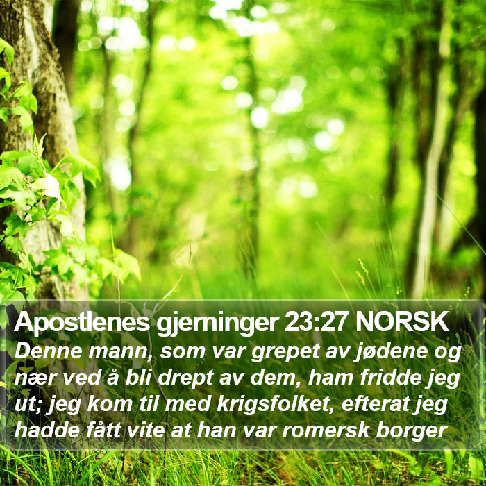 Apostlenes gjerninger 23:27 NORSK Bible Study