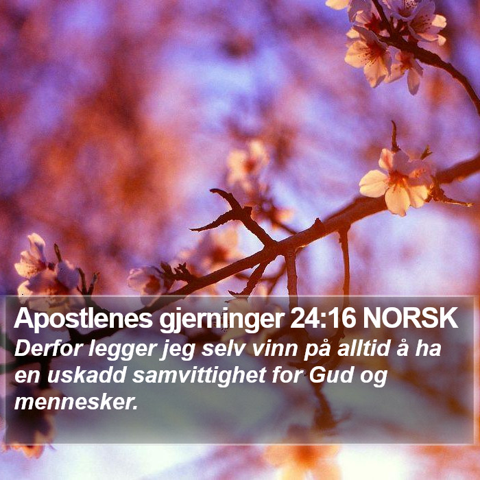 Apostlenes gjerninger 24:16 NORSK Bible Study