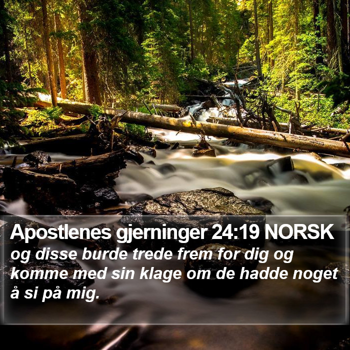 Apostlenes gjerninger 24:19 NORSK Bible Study