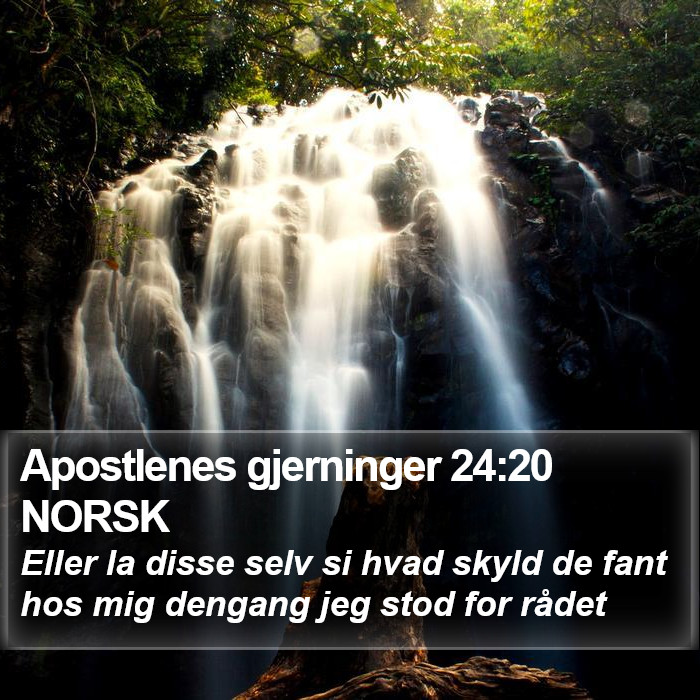 Apostlenes gjerninger 24:20 NORSK Bible Study
