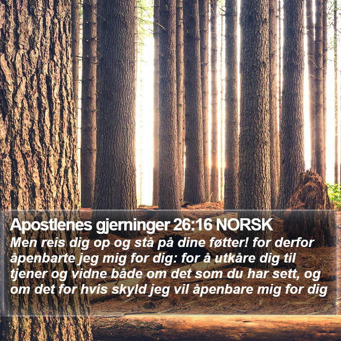 Apostlenes gjerninger 26:16 NORSK Bible Study