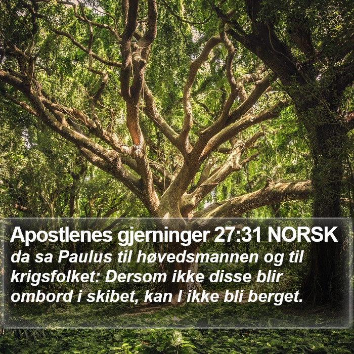 Apostlenes gjerninger 27:31 NORSK Bible Study