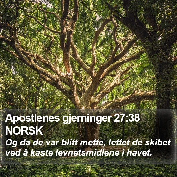 Apostlenes gjerninger 27:38 NORSK Bible Study