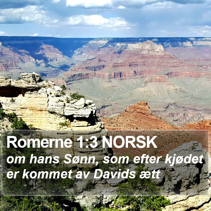 Romerne 1:3 NORSK Bible Study