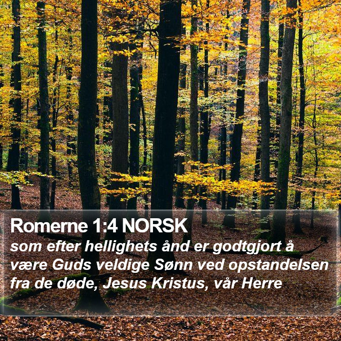 Romerne 1:4 NORSK Bible Study